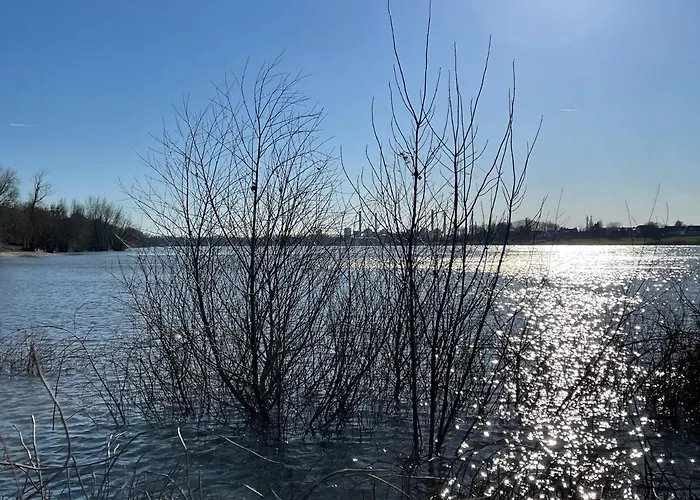 Habitat Himmelgeist Séjour chez l'habitant Düsseldorf